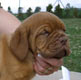 Arturs