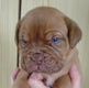 2.vrh