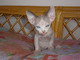Cissy
